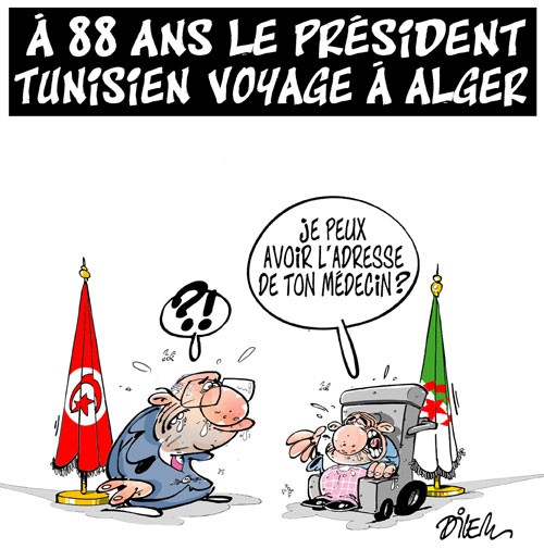 6fev