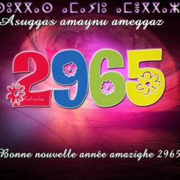 asuggas amaynu 2965 rose