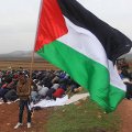 palestine