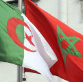 algerie maroc sarah occ nl