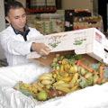 crise alimentaire