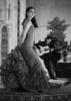 danse flamenco amalgama